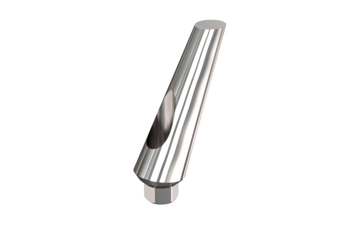 Alef 25° angled abutment by MSDI – long