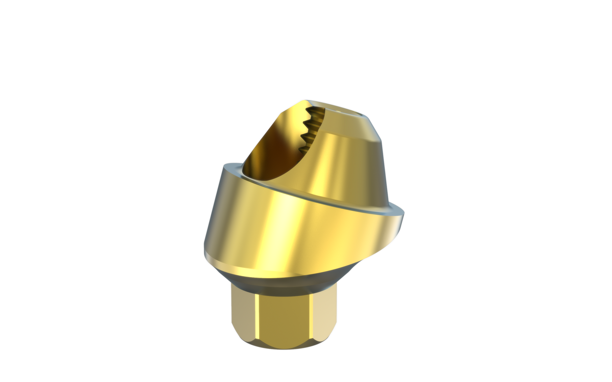 Alef 17° angled multi-unit abutment by MSDI – view 1