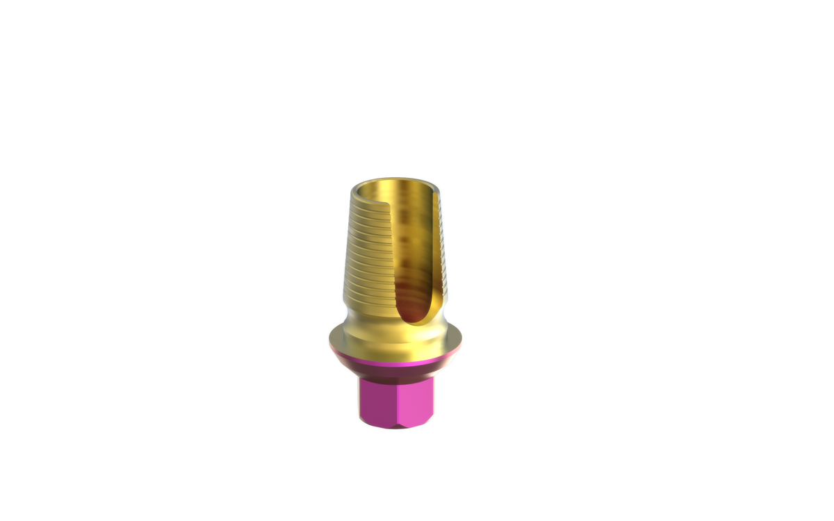 Alef EleganTi anatomic Ti-Base by MSDI – view 9