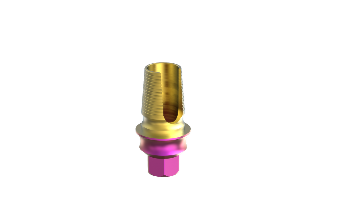 Alef EleganTi anatomic Ti-Base by MSDI – view 10