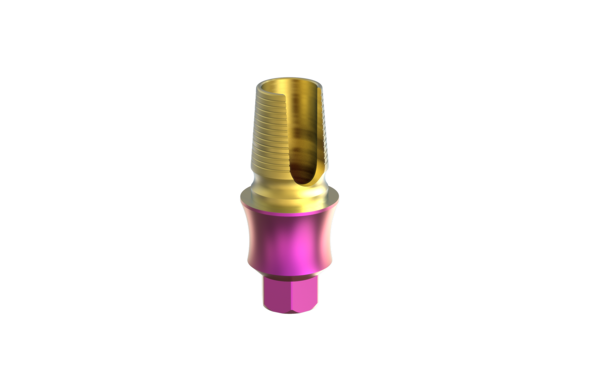 Alef EleganTi anatomic Ti-Base by MSDI – view 11