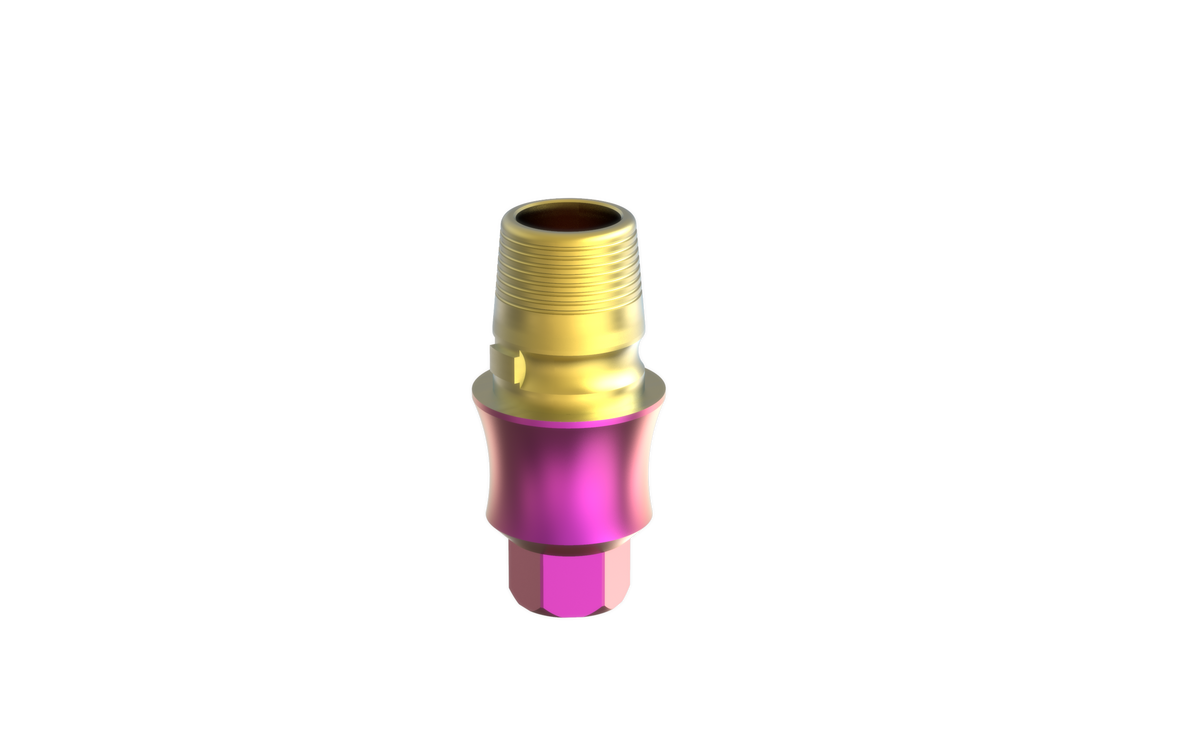 Alef EleganTi anatomic Ti-Base by MSDI – view 3