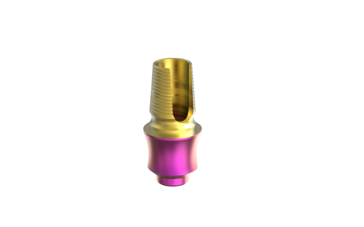 Alef EleganTi anatomic Ti-Base by MSDI – view 14