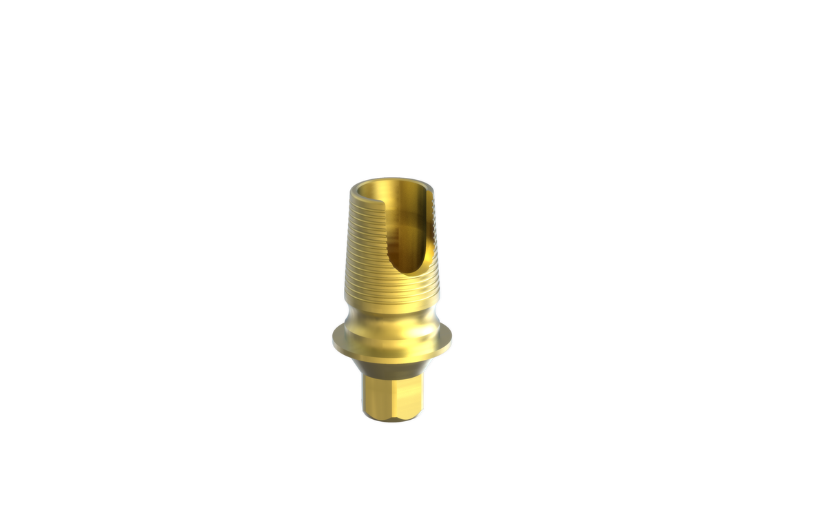 Til EleganTi anatomic Ti-Base by MSDI – view 10