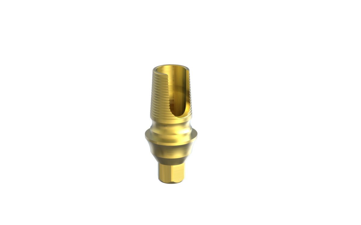 Til EleganTi anatomic Ti-Base by MSDI – view 11