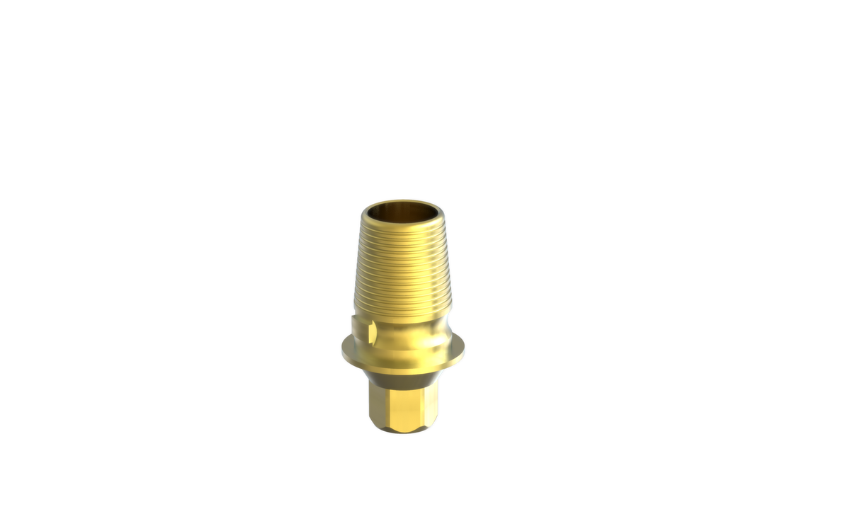 Til EleganTi anatomic Ti-Base by MSDI – view 4