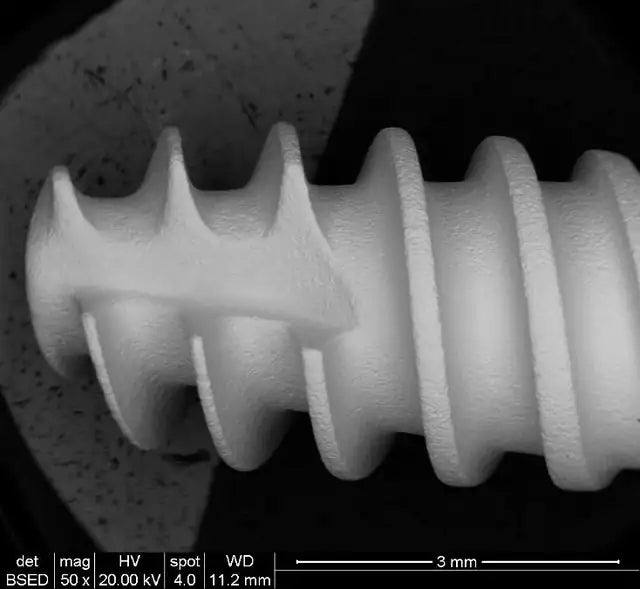 Scanning electron microscope image of an Alef implant apex at 50× magnification, showing the threads, cutting flutes and an even matte SLA texture. Scale bar 3 mm.