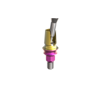 EleganTi Angled screw channel 