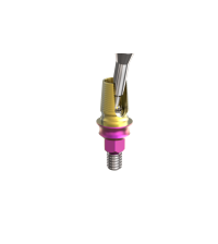 EleganTi Angled screw channel 